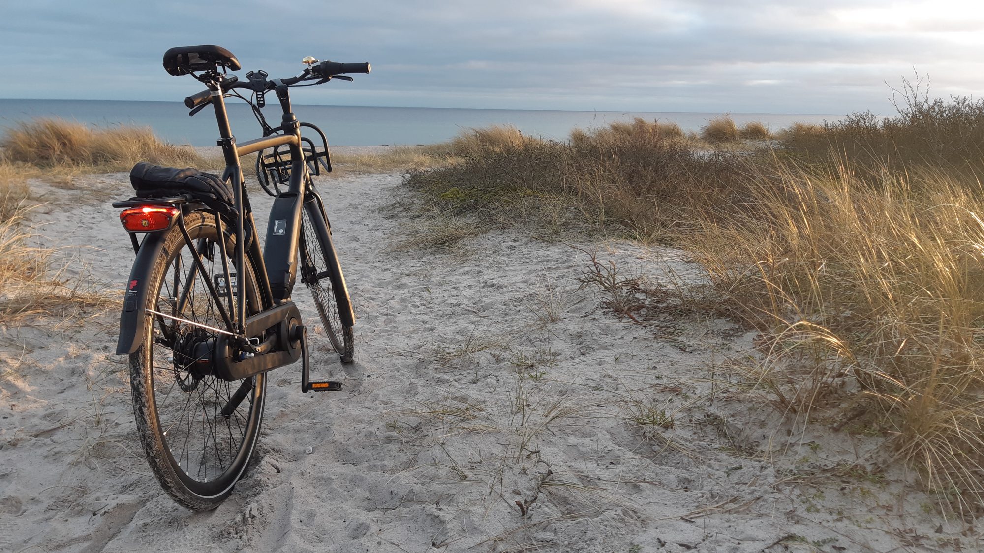 The fast Batavus Harlem electric bike at the beach of Hundige.