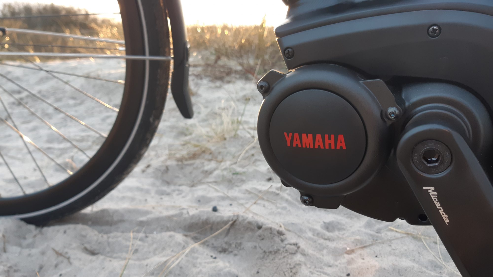 The fast Batavus Harlem electric bike at the beach of Hundige.