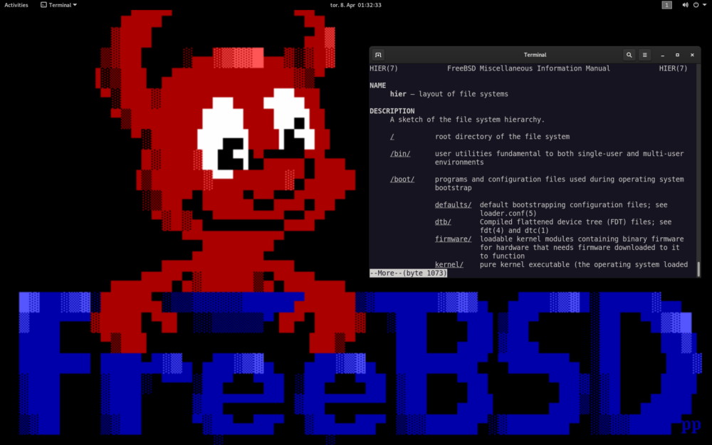 Screenshot of a FreeBSD desktop, that is showing GNOME, Terminal and a The Draw FreeBSD daemon Beastie background wallpaper.