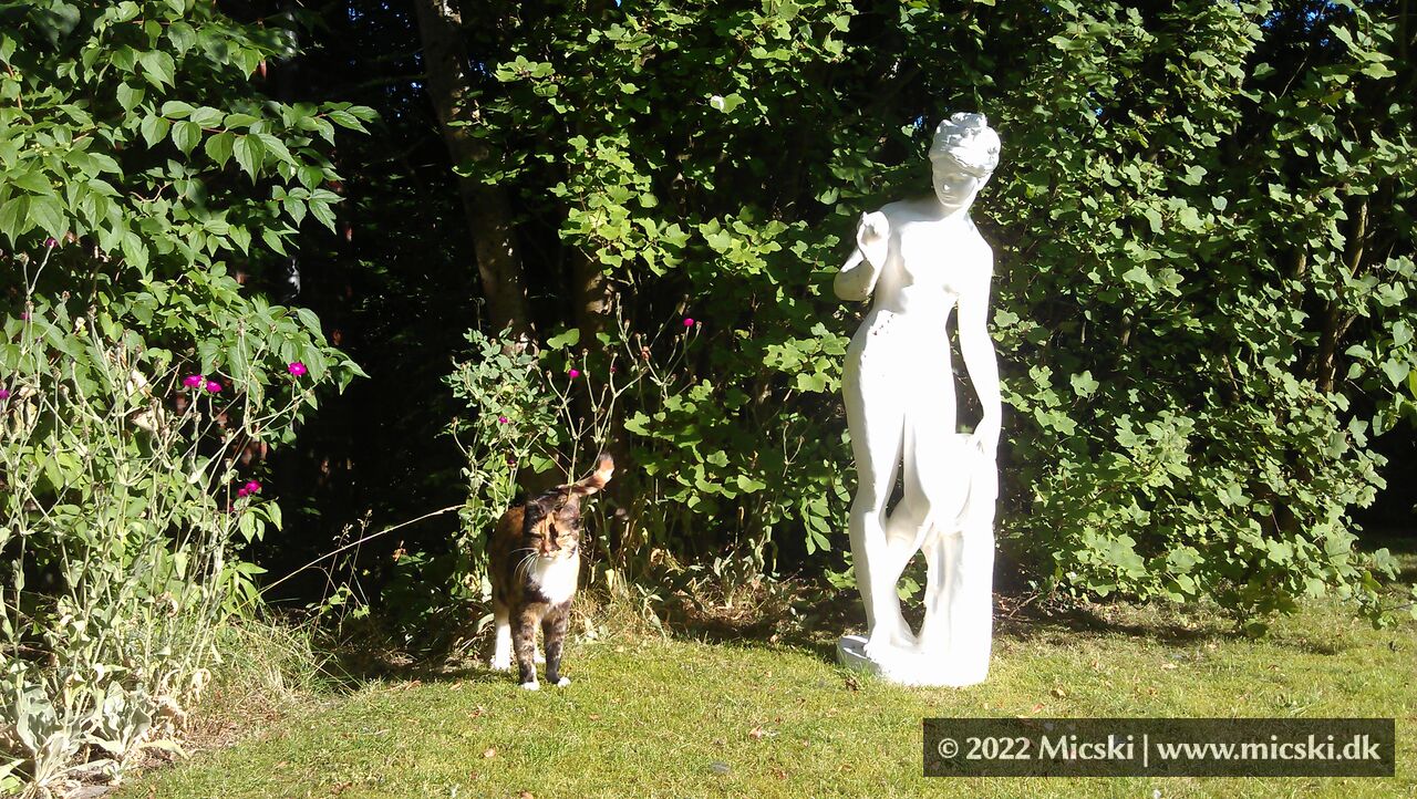 Gozilla in the garden. 2012.