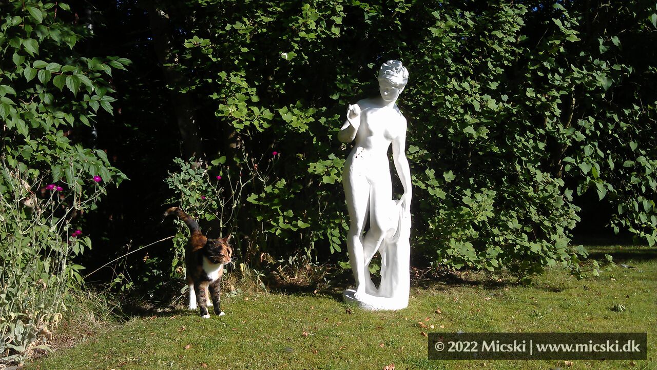 Gozilla in the garden. 2012.
